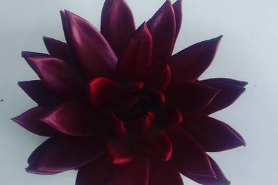 شركة منتهى الأزهار التجارية