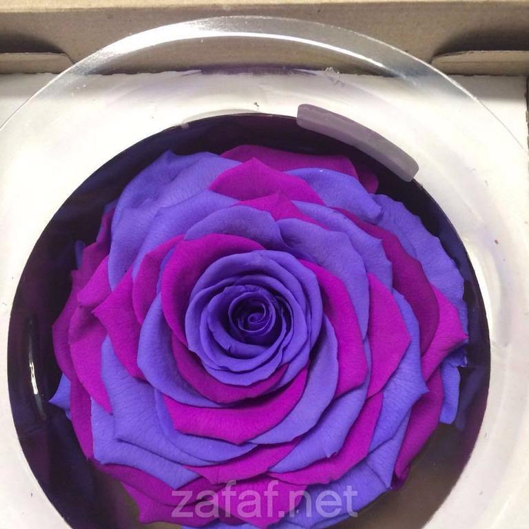 شركة منتهى الأزهار التجارية