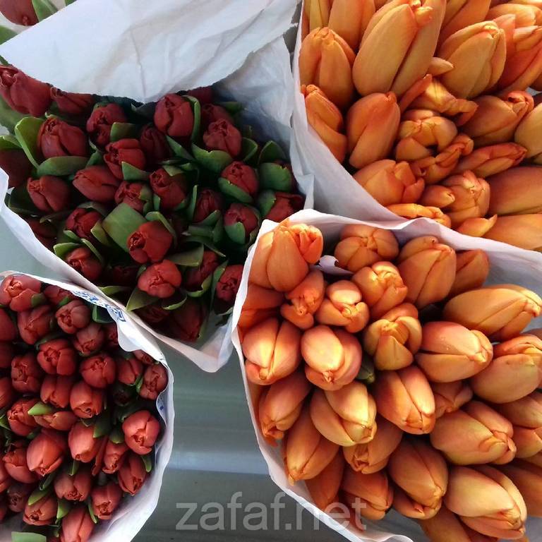 شركة منتهى الأزهار التجارية