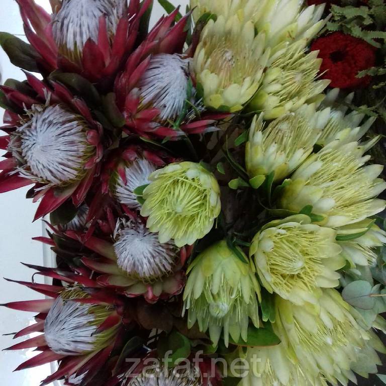 شركة منتهى الأزهار التجارية