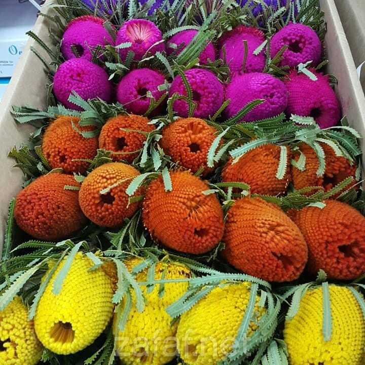 شركة منتهى الأزهار التجارية