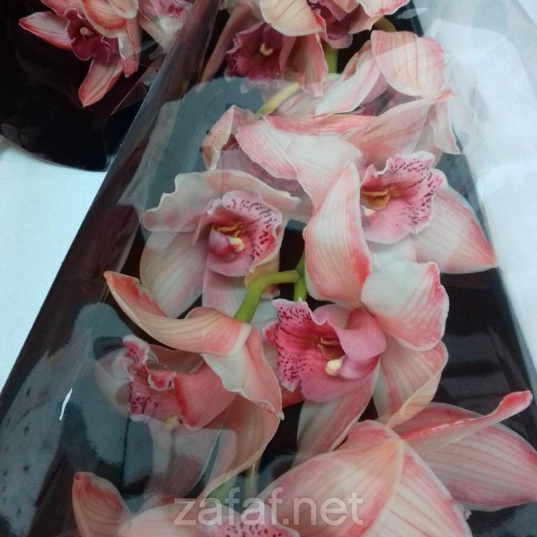 شركة منتهى الأزهار التجارية