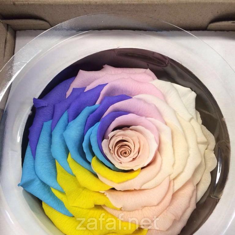 شركة منتهى الأزهار التجارية