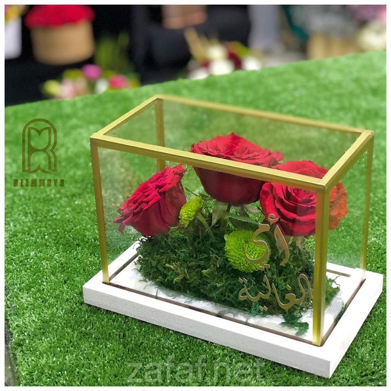 ريماس الخبر