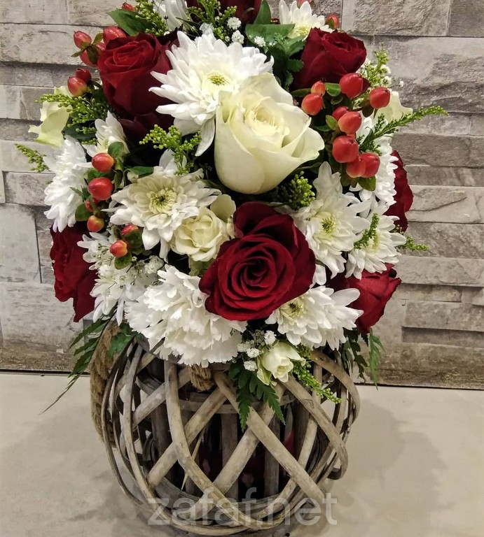 فيولا للزهور