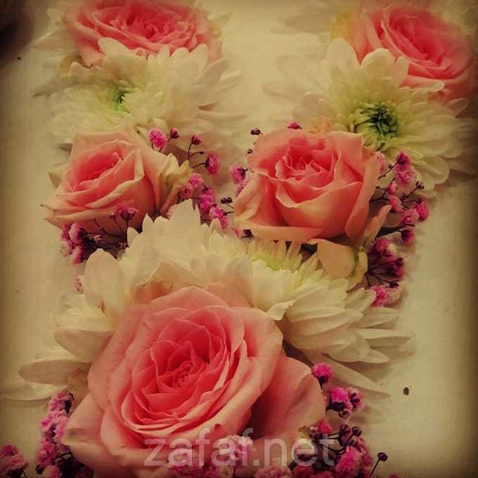 ديزاين فلور