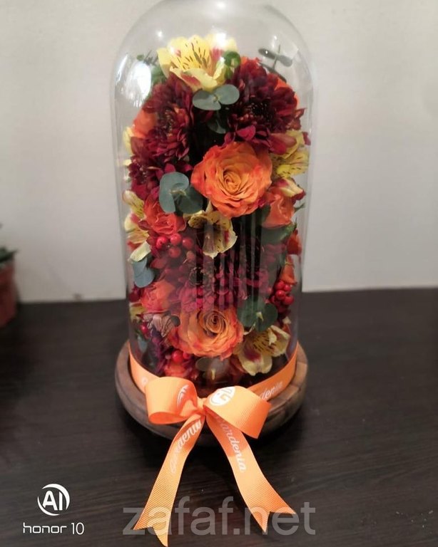 ازهار جاردينيا