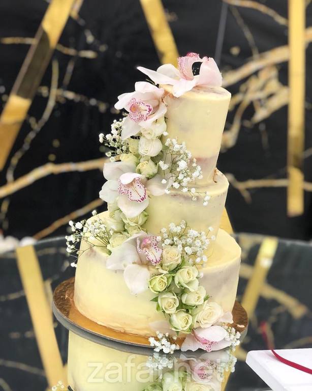 المصورة أم حسن