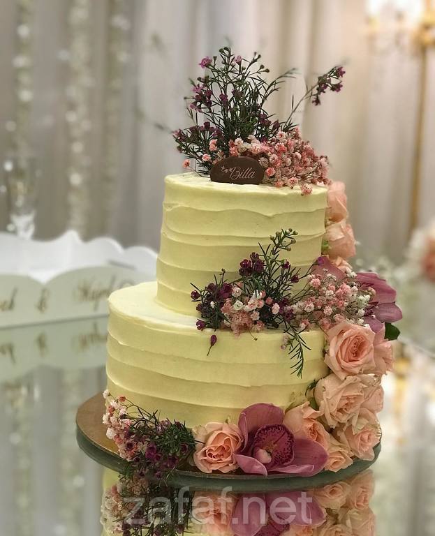 المصورة أم حسن