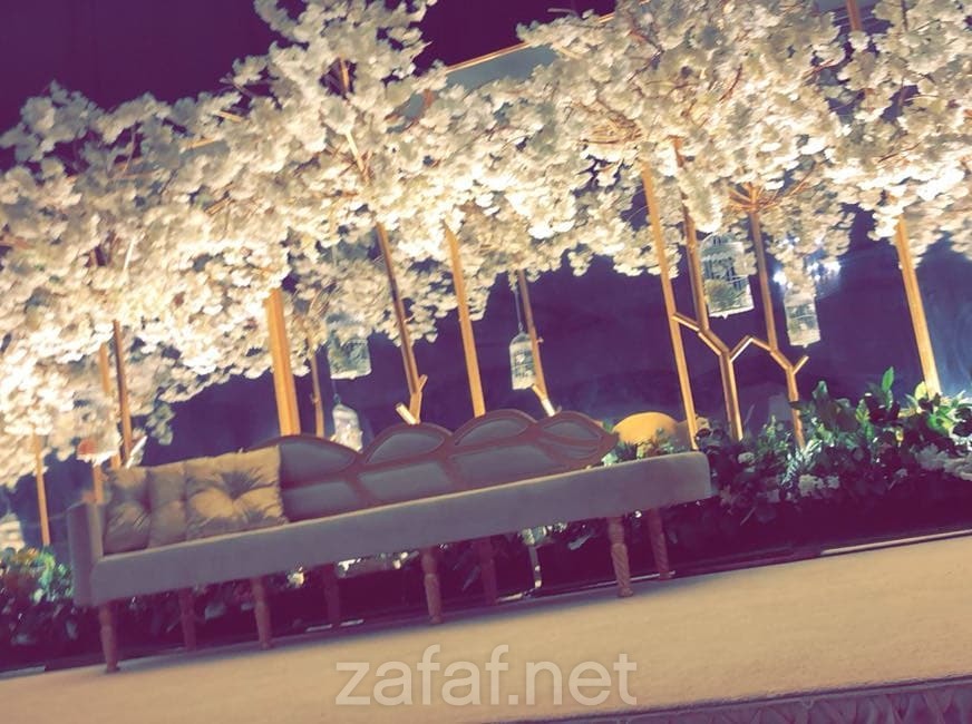 المصورة أم حسن