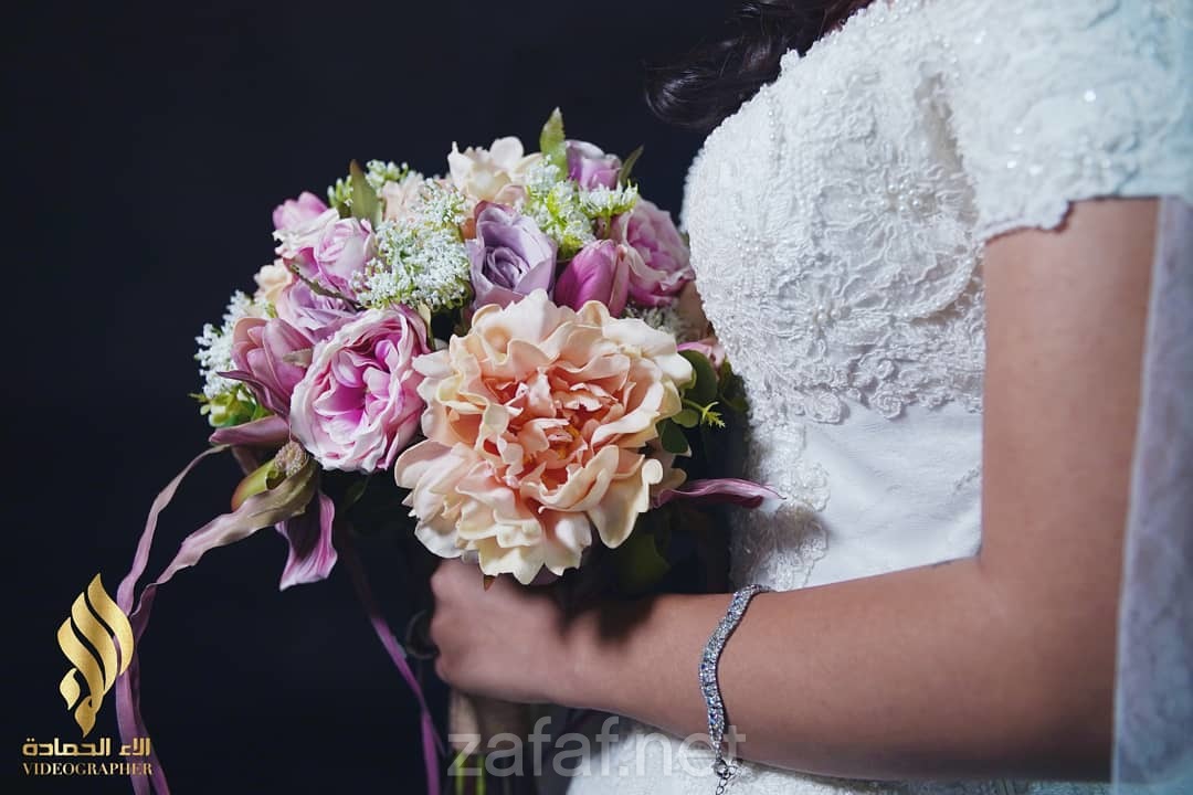 الاء الحمادة