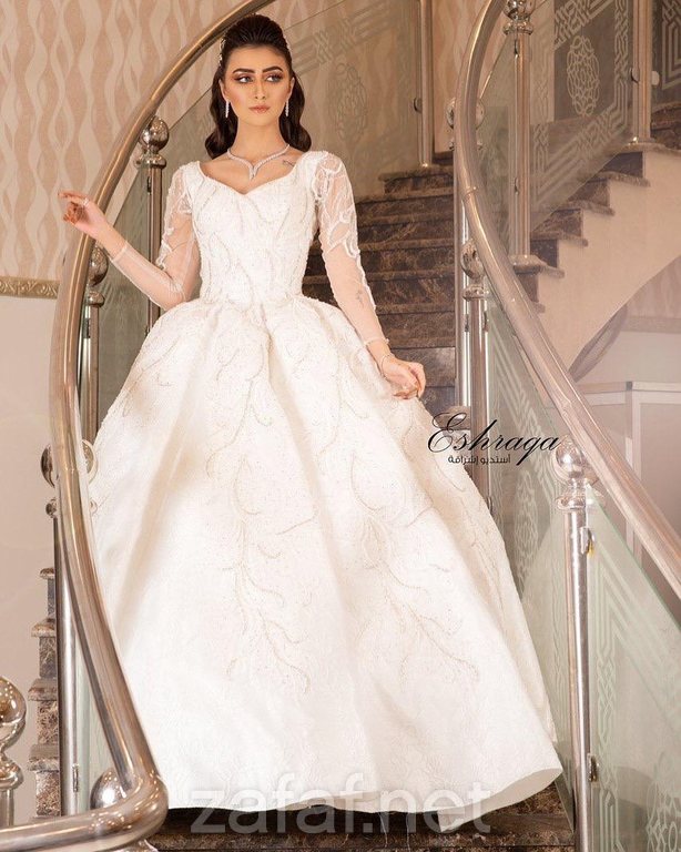 كادي بيوتيك