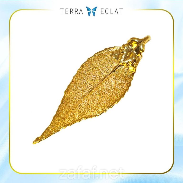 تيرا ايكلات