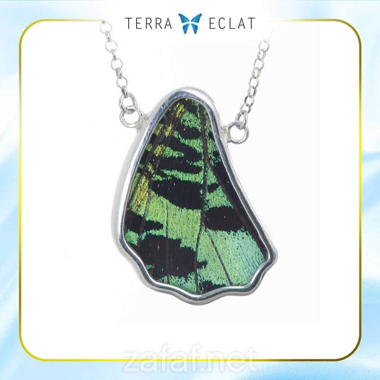 تيرا ايكلات