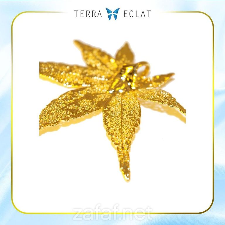 تيرا ايكلات