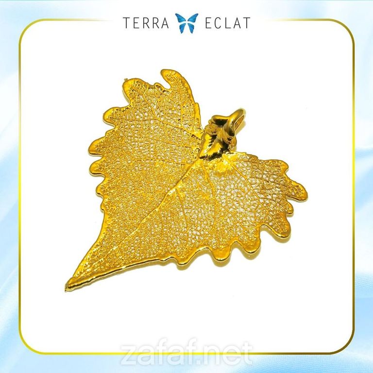 تيرا ايكلات