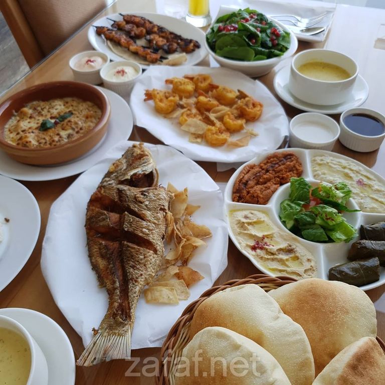 مطعم اسماك النورس