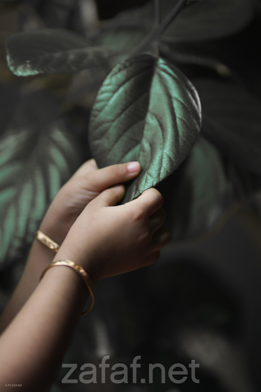 شركة كامز لتصوير الحفلات