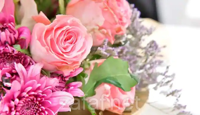 بارك ان من راديسون جدة - طريق المدينة