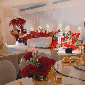 قاعة لاني - فندق أرين المطار