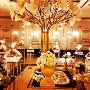 القاعة الملكيه للاحتفالات - الجموم