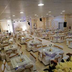 قاعة النورس