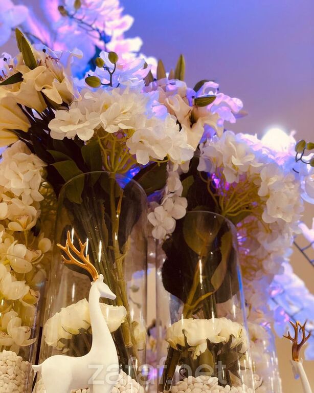 قاعة دنيتي للإحتفالات