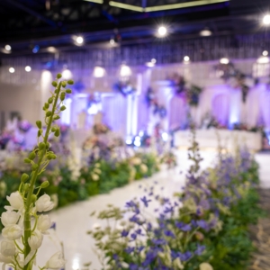 قاعة العبير